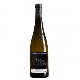 Coteaux du Layon 2015 - Le carton de 6 bouteilles