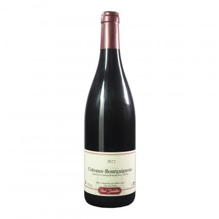 Champagne Ruinart Blanc de Blancs - Coffret 1 btl